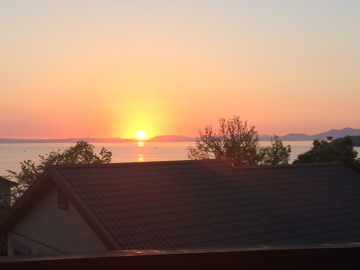 サンプルサイト