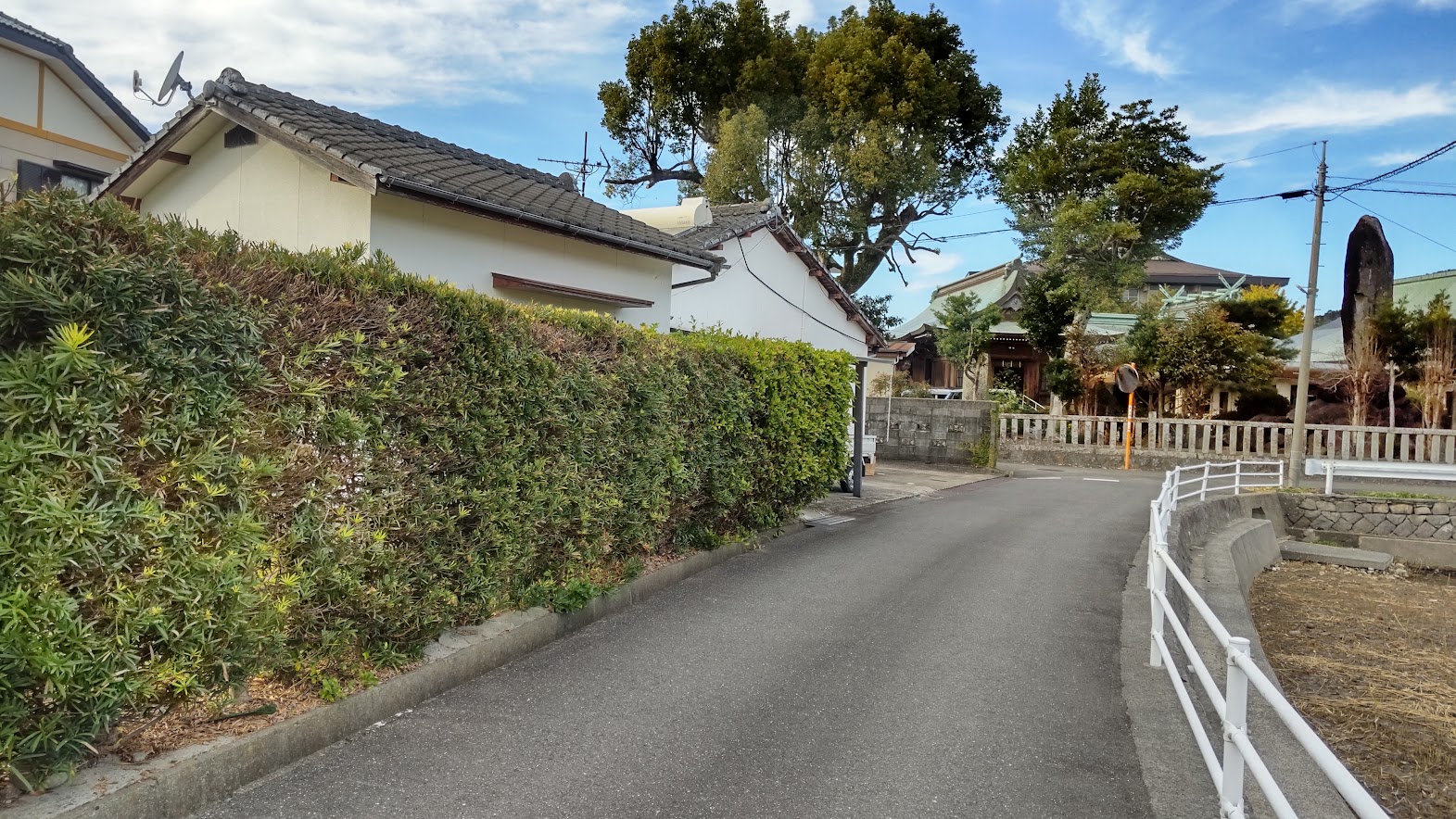 サンプルサイト